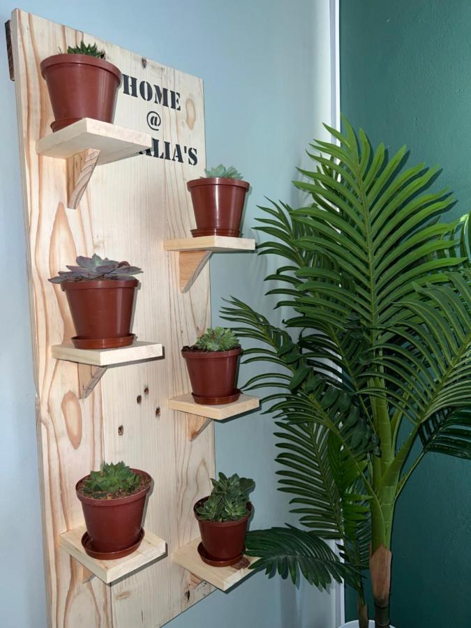 Home@Amalia'S Rundu Ngoại thất bức ảnh